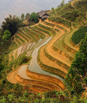 Sapa Tours